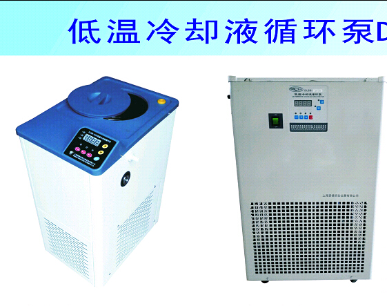 DLSB-2/20上海贤德低温冷却循环泵（2L）负20度/适用