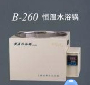 上海亚荣恒温水浴锅B-260